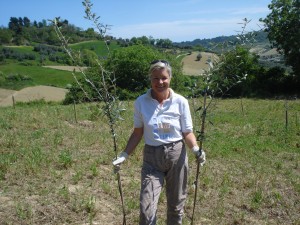 Heidi trägt zwei 2- bis 3 Jahre junge Olivenbäumchen zum Einpflanzen. 