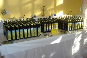 Reichlich Olivenöl Olio Piceno gibt es dank sorgfältig arbeitender Olivenbauern.