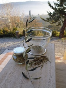 Als er noch im Glas war: unser Olivenblätter-Tee, fotografiert auf der Eingangsmauer unseres Hauses in den Marken