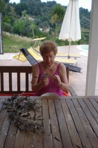 Meine Mama Uschi inspiziert und pflückt die inzwischen getrockneten Olivenblätter.