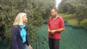 Tiziano verrät Heidi Rauch sein Olivenfliegen-Bekämpfungs-Geheimnis.