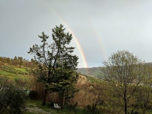 Regenbogen über marchegianischer Landschaft